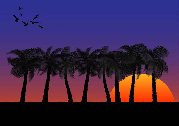 带有日落或日出背景的图形图像椰子树橙色和蓝色的天空矢量插图 — 图库矢量图片