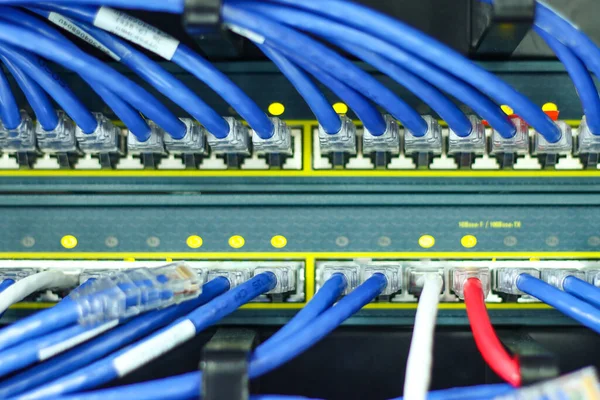 Les Câbles Réseau Pour Connecter Port Lan Concept Technologie Connexion — Photo