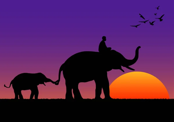 Silhouette Image Black Elephant Elephant Mahout Walking Mountain Sunset Background — 图库矢量图片