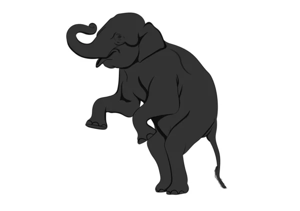 Слон Азии Стоя Изолированные Белый Фон Графический Дизайн Вектор Иллюстрация — стоковый вектор