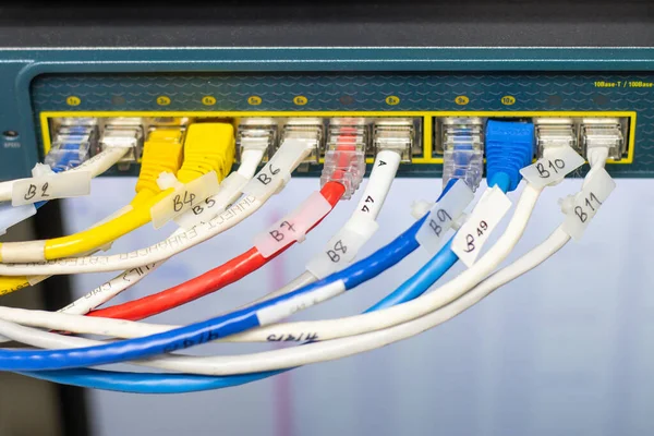Kabel Jaringan Untuk Menghubungkan Port Saklar Untuk Menghubungkan Jaringan Internet — Stok Foto