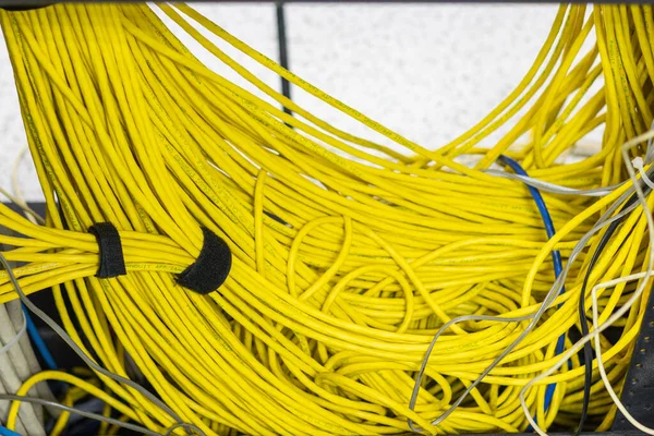 인터넷 접속을 노란색 네트워크 케이블 — 스톡 사진