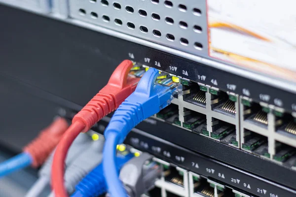 네트워크 케이블은 스위치의 포트를 연결하여 인터넷 네트워크 컨셉트 커뮤니케이션 기술을 — 스톡 사진