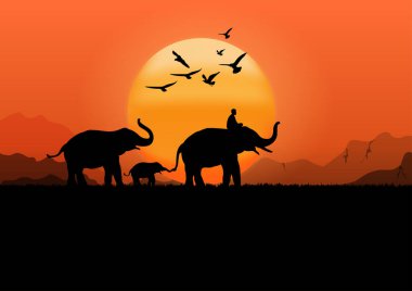 Siluet görüntü Fil mahout ile Kara fil dağ ve günbatımı arka planda yürür Akşam ışığı illüstrasyonu