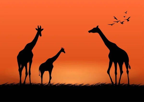 森林中的图形长颈鹿 带有暮色轮廓背景矢量插图 — 图库矢量图片