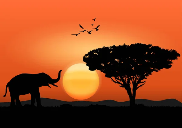 Silhouettenbild Schwarzer Elefant Mit Waldspaziergang Mit Berg Und Sonnenuntergangshintergrund Abendlichtvektor — Stockvektor