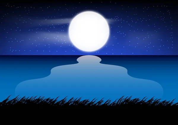Graphisme Paysage Vue Sur Océan Avec Lune Herbe Sur Sol — Image vectorielle