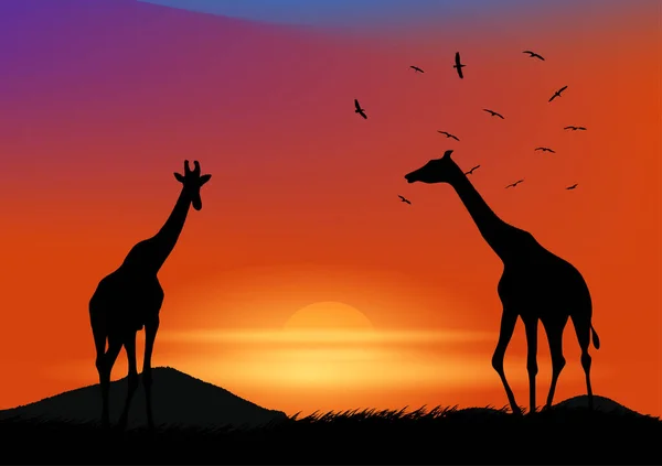 Graphisme Paysage Vue Girafe Forêt Avec Fond Montagne Silhouette Crépusculaire — Image vectorielle