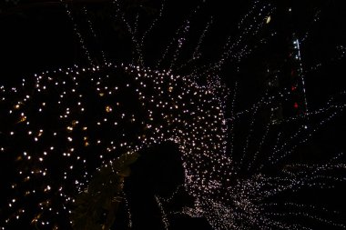 Işıldayan sicim ışıklarıyla kaplı ağaçların karanlık gece görüntüsü. Bayram ya da kutlama temaları için büyülü, şenlikli bir atmosfer yakalıyorum.