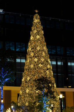 Yılbaşı ağacı parlak yıldızları aydınlattı. Sıcak altın ışıklar ve dekoratif yıldızlarla kaplı büyük bir açık hava tatili sergisi karanlığa karşı duruyor.