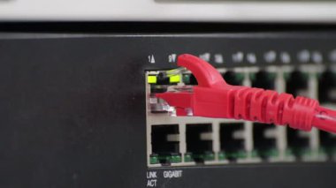 kırmızı ethernet kablosu bir gigabit ağ anahtarına bağlı, veri transferi ve internet ağ teknolojisi için aktif bağlantı ışıklarını gösterir