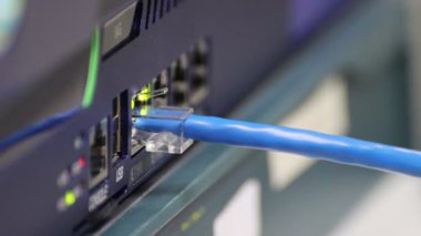 Veri transferi ve internet ağ teknolojisi için aktif bağlantı ışıklarını gösteren bir gigabit ağ anahtarına bağlı mavi ethernet kablosunun yakın plan görüntüsü