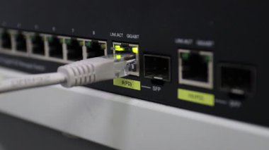 İnternet bağlantısı, veri transferi ve ağ teknolojisini gösteren bir ağ anahtarı portuna ethernet kablosu
