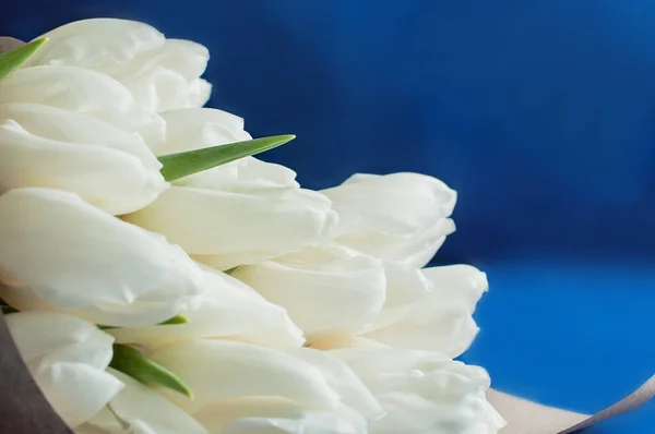 Bukiet białych tulipanów pokryty vintage brązowy papier. Niebieskie tło. — Zdjęcie stockowe