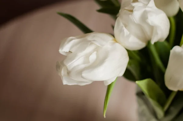 A bouquet of white tulips in a glass vase at home. — Stock Photo, Image