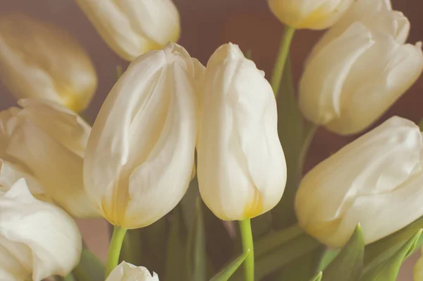 A bouquet of white tulips in a glass vase at home. — Stock Photo, Image