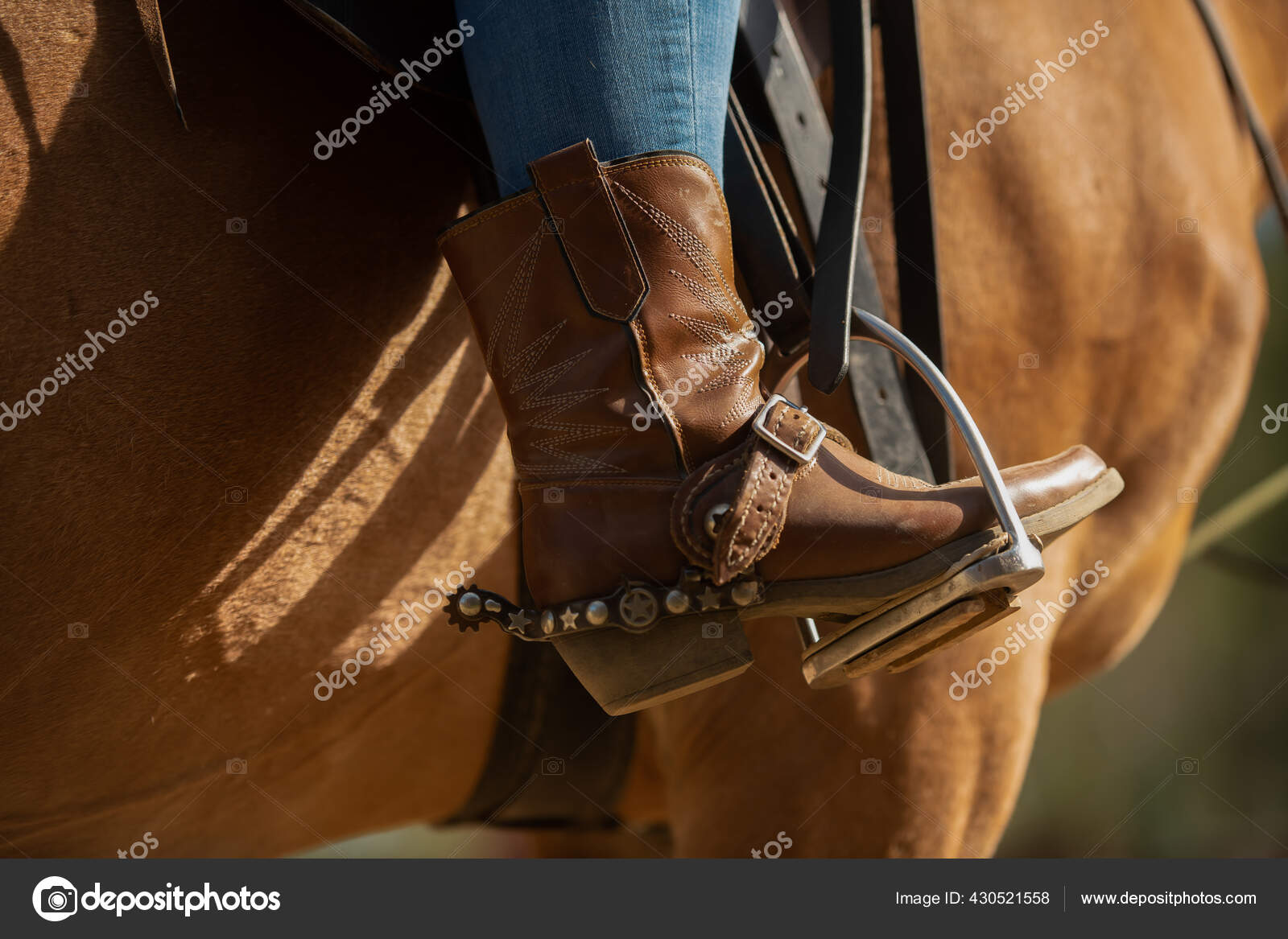 Cowboy boots shop for riding horses