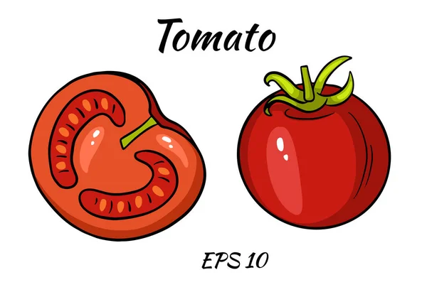 Ein Satz saftige Tomaten. — Stockvektor