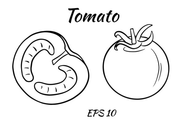 Ein Satz saftige Tomaten. Tomate ganz und die Hälfte schneiden. Illustrationen für Design und Dekoration. — Stockvektor