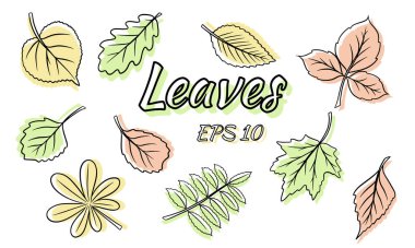 Yeşil yaprak koleksiyonu. Farklı şekillerde yapraklar. Oyulmuş yapraklar. Siluet. Tasarım ve dekorasyon için vektör ayarlandı.