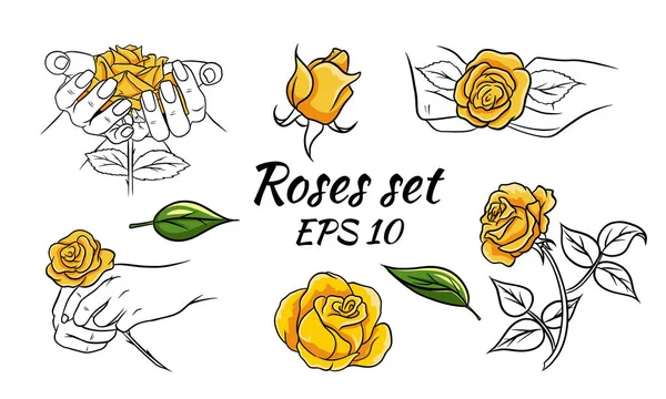 Conjunto Padrões Com Rosas Rosas Nas Mãos Botões Folhas Rosas — Vetor de Stock