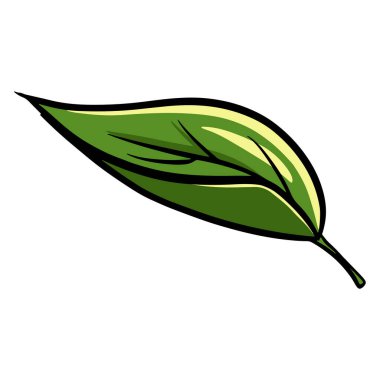 Broşür. Renk ve ağaçtan yapraklar. Flora. Çizgi film tarzı. Tasarım ve dekorasyon için vektör illüstrasyonu.