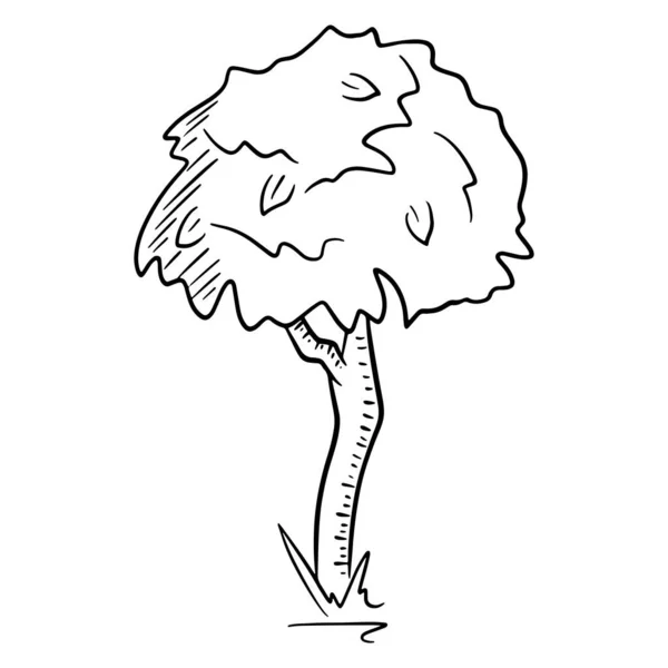 飞溅的树 大自然 弗洛拉卡通风格 矢量图解 用于设计和装饰 — 图库矢量图片