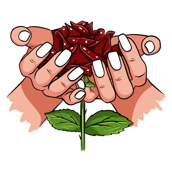 Rote Rose Weiblichen Händen Romantisch Vektorillustration Vereinzelte Zeichnung Auf Weißem — Stockvektor