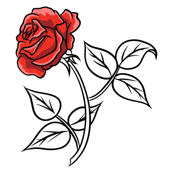 Hand Drawn Roses Beautiful Flower Cartoon Style Vector Illustration Design — Stock Vector