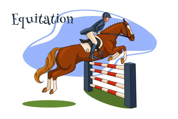 Horseback riding. Show jumping. A woman in a competition jumps on a horse over an obstacle. Cartoon style. Vector illustration for books, logo design, postcards.
