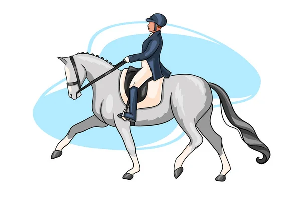 Passeios Cavalo Adestramento Uma Mulher Montada Cavalo Cavalo Executa Curativo — Vetor de Stock