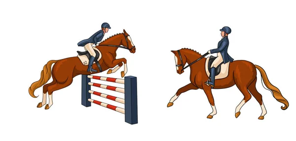 Lovaglás Díjazás Show Jumping Kész Egy Lovagol Egy Lovon Átugrik — Stock Vector