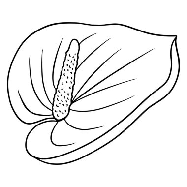 Boyama kitabı için tropik parlak çiçek tarzı. Beyaz arkaplanda izole edilmiş tasarım için vektör illüstrasyonu.