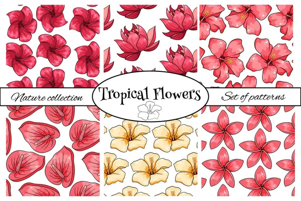Coleções Padrões Tropicais Com Flores Exóticas Estilo Cartoon Impressão Verão — Vetor de Stock