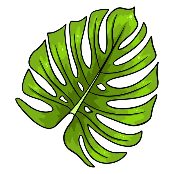 Tropical Plants Exotic Carved Green Leaf Cartoon Style Vector Illustration — 图库矢量图片