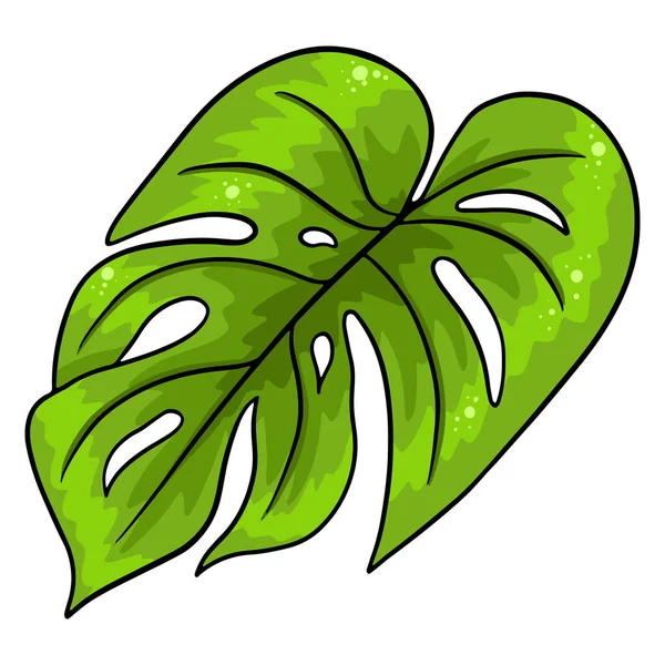 Tropical Plants Exotic Carved Green Leaf Cartoon Style Vector Illustration — Stock Vector