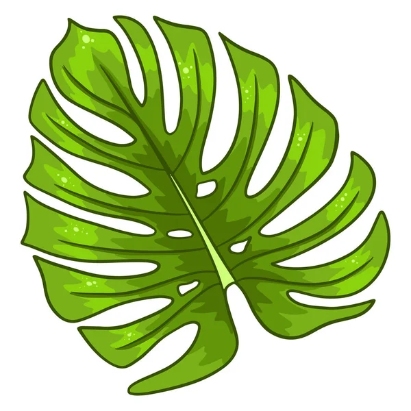 Tropical Plants Exotic Carved Green Leaf Cartoon Style Vector Illustration — 图库矢量图片