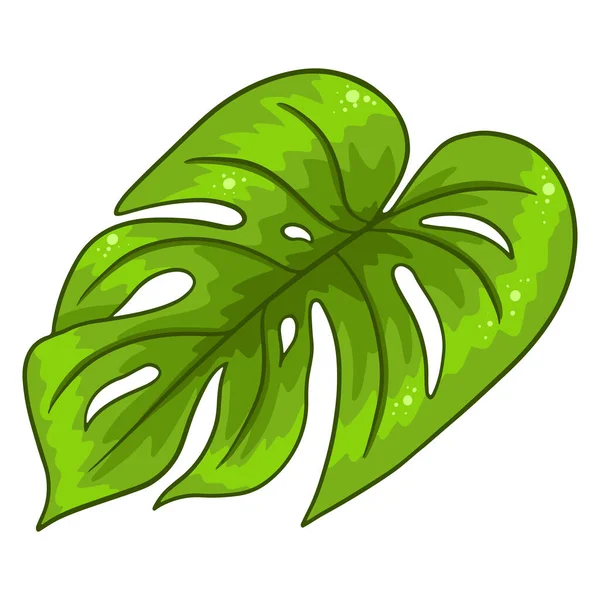 Tropical Plants Exotic Carved Green Leaf Cartoon Style Vector Illustration — Stock Vector