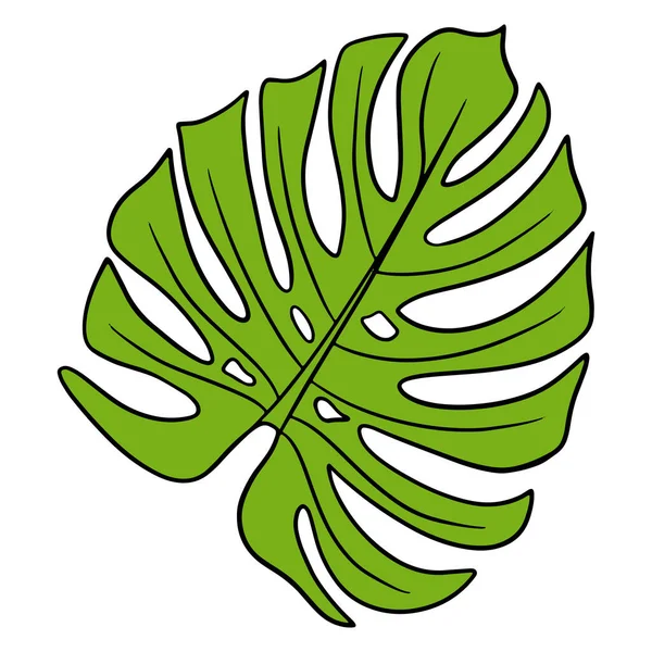 Tropical Plants Exotic Carved Green Leaf Cartoon Style Vector Illustration — 图库矢量图片