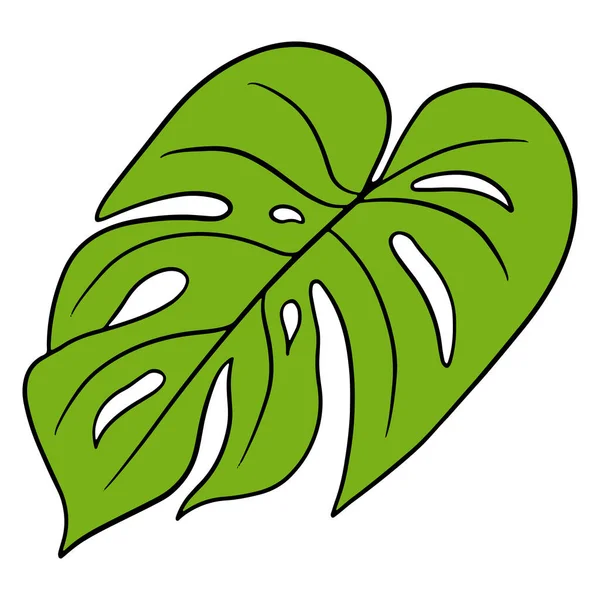 Piante Tropicali Esotici Intagliato Foglia Verde Stile Cartone Animato Illustrazione — Vettoriale Stock