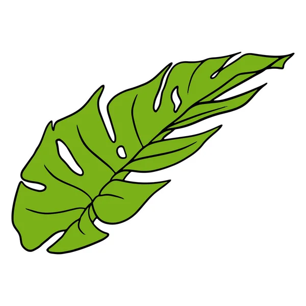 熱帯植物エキゾチックな漫画のスタイルで緑の葉を彫刻 白い背景に隔離されたデザインのためのベクトルイラスト — ストックベクタ