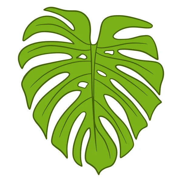 Tropical Plants Exotic Carved Green Leaf Cartoon Style Vector Illustration — 图库矢量图片