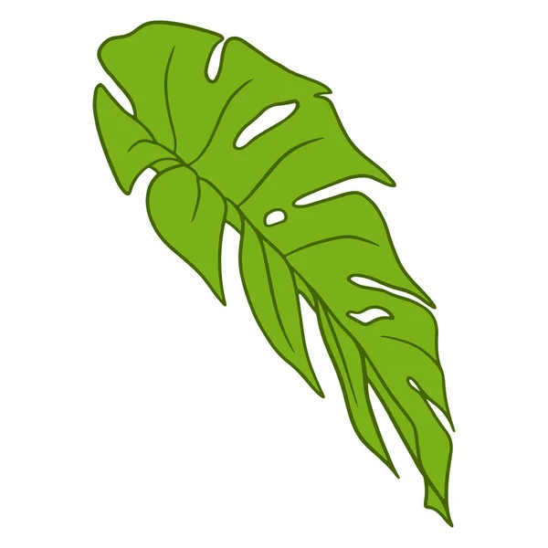 Tropical Plants Exotic Carved Green Leaf Cartoon Style Vector Illustration — 图库矢量图片