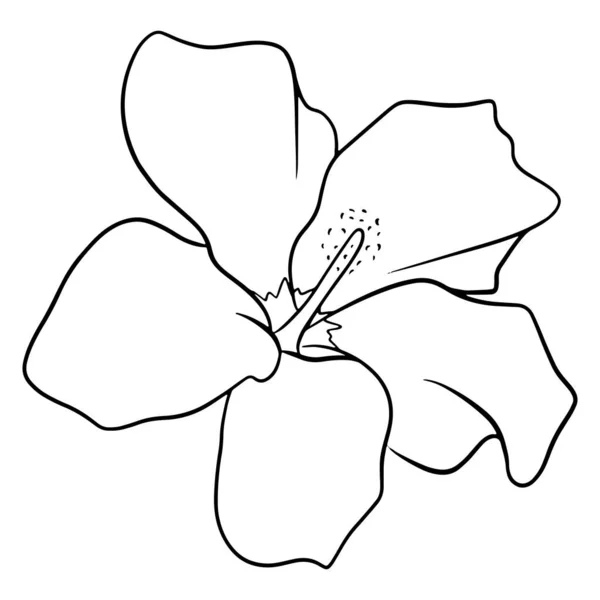 Planta Tropical Flor Brilhante Estilo Linha Para Colorir Livro Ilustração —  Vetores de Stock