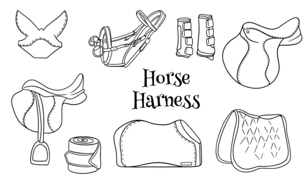 Chicote de cavalos um conjunto de equipamentos equestres sela freio cobertor botas de proteção em estilo linha livros para colorir. —  Vetores de Stock