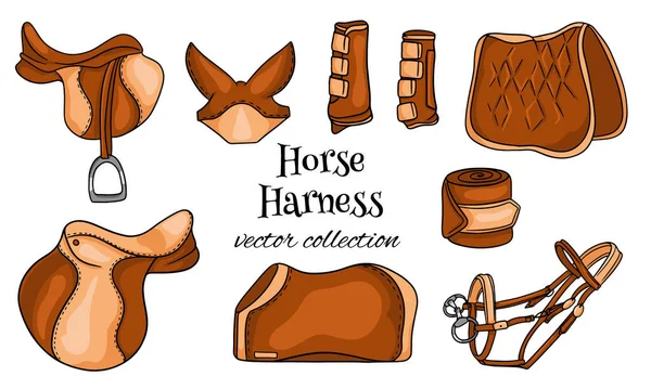Hästsele en uppsättning ridsportutrustning sadel betsel filt skyddsstövlar i tecknad stil — Stock vektor