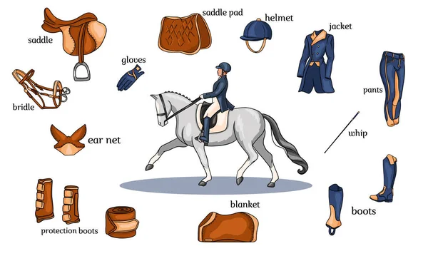 Paardensport infographics paard harnas en ruiter apparatuur in het centrum van een ruiter op een paard in cartoon stijl — Stockvector