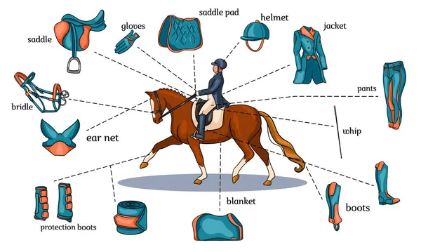 Paardensport infographics paard harnas en ruiter apparatuur in het centrum van een ruiter op een paard in cartoon stijl — Stockvector