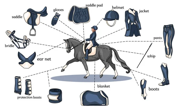 Esporte equestre infográficos chicote de cavalos e equipamento de cavaleiro no centro de um cavaleiro em um cavalo em estilo cartoon — Vetor de Stock