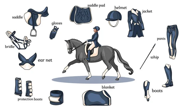 Binicilik sporu bilgisi at koşumu ve binicilik ekipmanları karikatür tarzında bir atın ortasında. — Stok Vektör